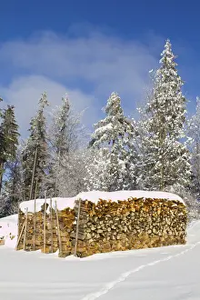 Stacked firewood, Waldviertel, Lower Austria