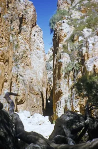 Standley Chasm Gorge, West MacDonnell Ranges, Northern Territory, Australia Expedition of the Melbourne Grammar School 1956