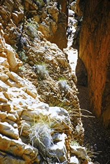Standley Chasm Gorge, West MacDonnell Ranges, Northern Territory, Australia Expedition of the Melbourne Grammar School 1956