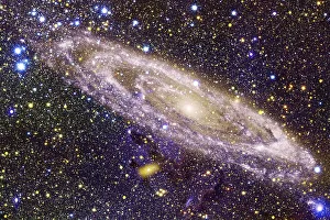 Starfield. Cosmos art. Elements of this image furnished by NASA