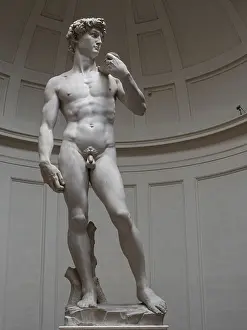 Statue of David by Michelangelo