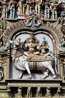 Statues of Shiva Parvati on Rishabh