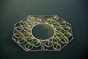 Stechlin Cisco fish farming, fish traps