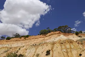 Steep cliffs of the Murray River near Berri