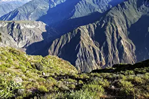 Steep mountain valleys with lush vegetation and distinctive shadows