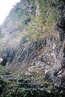 Steep, slippery steps of the Huayna Picchu mountain path, Machu Picchu, Peru, South America around 1962, South America