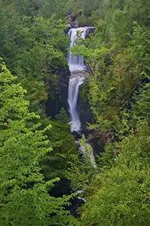 A steep waterfall flows through thick vegetation nestled in lush forest