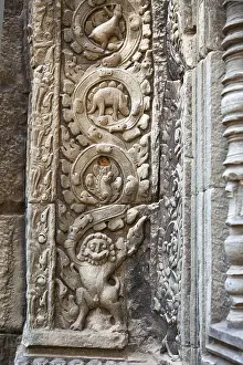Stegosaurus dinosaur carving on the wall in Ta Prohm temple
