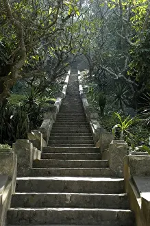Steps leading from the jungle to the temple mount Phu Si