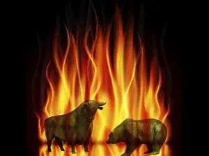 The stock market is burning, bull and bear in flames