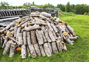 Stock pile of timber, chopped down trees at the forest in summertime