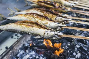 Stockfisch, fish dish prepared on wooden stick being barbecued