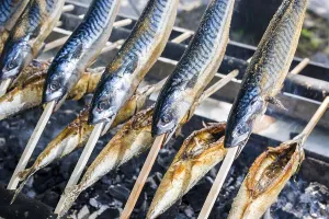 Stockfisch, fish dish prepared on wooden stick being barbecued