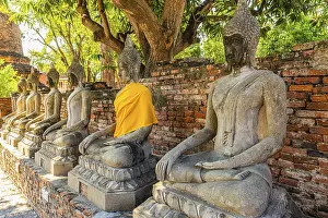 Stone Buddha statues, historic Buddhist temple complex