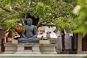 Stone Buddha under trees with decorative prayer flags in the temple area