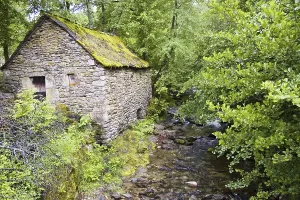 Stone house, stream in forest, Cevennes