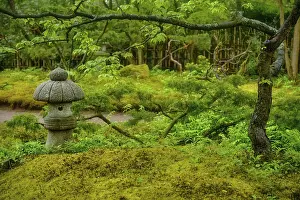 Stone lantern in Japanese garden