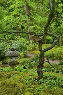 Stone lantern in Japanese garden