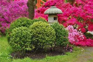 Stone lantern in Japanese garden with blooming flowers