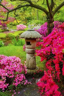 Stone lantern in Japanese garden with blooming flowers