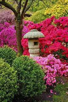 Stone lantern in Japanese garden with blooming flowers