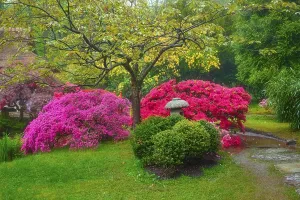 Stone lantern in Japanese garden with blooming flowers