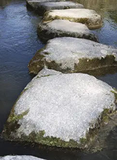 Stone path in a japanese water garden