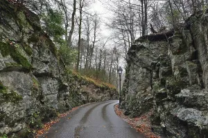 Stone road in the forest near Hohenschwangau castle in Germany