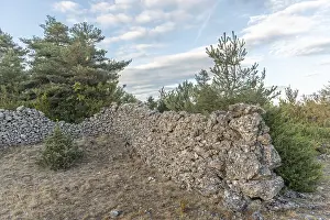 Stone wall on the Causse Mejean in the Cevennes