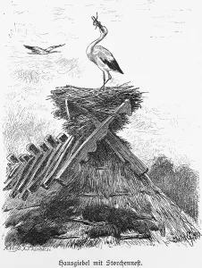 Stork's nest on thatched roof