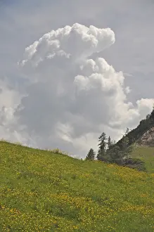 Storm cloud, cloud, thunderstorm