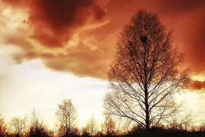 Stormy landscape