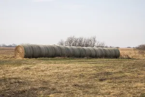 Straw bales in heath landscape
