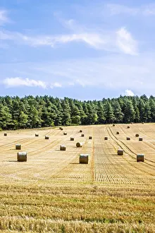 Straw bales in the Scottish fields
