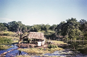 Straw hut construction, river delta of the Rio Magdalena, Colombia, South America 1961, South America