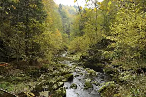Stream flowing through an autumnal forest