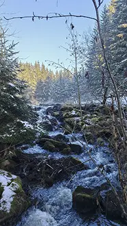 A stream flows through a snowy forest