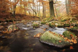 Stream in the Ilsetal valley in autumn