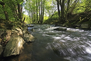 Stream in the Mittelgebirge mountain range