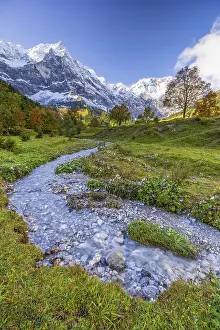 Stream, mountain landscape, maple trees