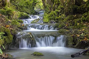 Stream near Urach waterfall, Bad Urach