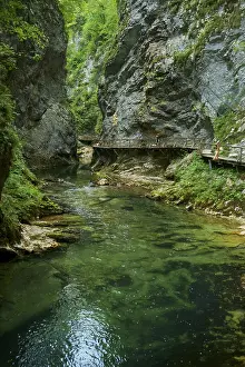 A stream (Radovna) with clear water flows through a rocky gorge in the Southern Limestone Alps
