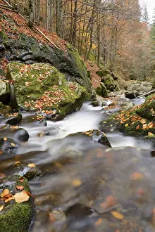 Stream with running water flowing through a rocky autumn landscape
