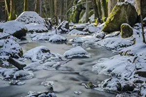 A stream with running water runs through a wooded area