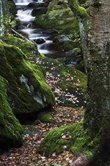 Stream, Steinklamm, Bayrischer Wald (Bavarian Forest)