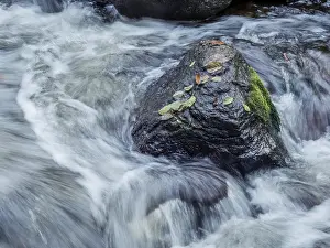 A stream with stones and flowing water
