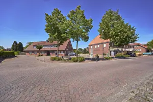 Street, bollards, trees, bench