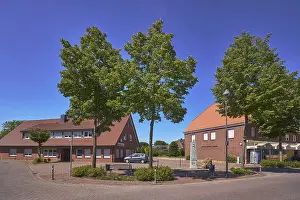 Street, bollards, trees, bench
