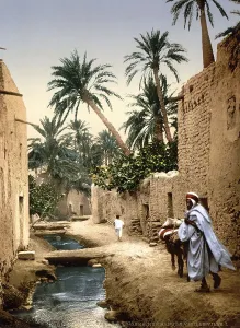 Street in the old town centre of Biskra