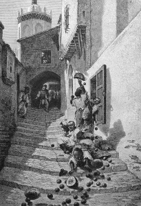 Street scene in Algiers, Algeria
